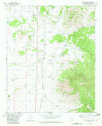 Download a high-resolution, GPS-compatible USGS topo map for Lone Mountain, NM (1982 edition)
