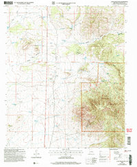 Download a high-resolution, GPS-compatible USGS topo map for Lone Mountain, NM (2006 edition)