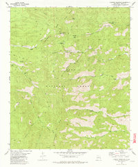Download a high-resolution, GPS-compatible USGS topo map for Lookout Mountain, NM (1981 edition)