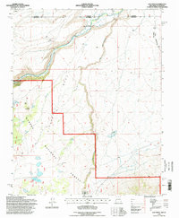 Download a high-resolution, GPS-compatible USGS topo map for Los Pinos, NM (1998 edition)