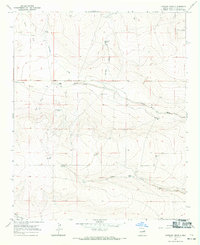 Download a high-resolution, GPS-compatible USGS topo map for Lovelady Draw, NM (1971 edition)