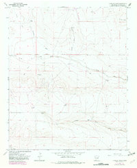 Download a high-resolution, GPS-compatible USGS topo map for Lovelady Draw, NM (1982 edition)