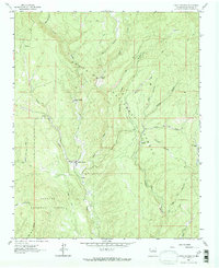 Download a high-resolution, GPS-compatible USGS topo map for Lower Colonias, NM (1973 edition)