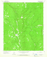 Download a high-resolution, GPS-compatible USGS topo map for Lower Colonias, NM (1966 edition)