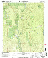 Download a high-resolution, GPS-compatible USGS topo map for Lower Colonias, NM (2003 edition)