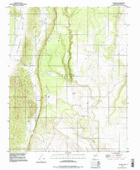 Download a high-resolution, GPS-compatible USGS topo map for Lucero, NM (1998 edition)