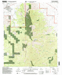 Download a high-resolution, GPS-compatible USGS topo map for Magdalena, NM (1998 edition)