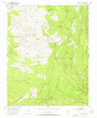 Download a high-resolution, GPS-compatible USGS topo map for Magote Peak, NM (1977 edition)