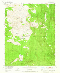 Download a high-resolution, GPS-compatible USGS topo map for Magote Peak, NM (1966 edition)