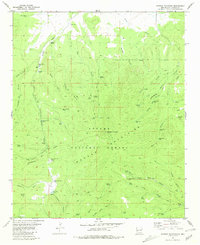 Download a high-resolution, GPS-compatible USGS topo map for Mangas Mountain, NM (1981 edition)