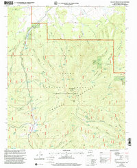 Download a high-resolution, GPS-compatible USGS topo map for Mangas Mountain, NM (2002 edition)
