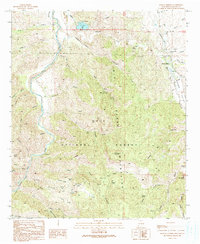 Download a high-resolution, GPS-compatible USGS topo map for Mangas Springs, NM (1991 edition)