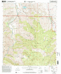 Download a high-resolution, GPS-compatible USGS topo map for Mangas Springs, NM (2002 edition)