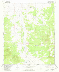 Download a high-resolution, GPS-compatible USGS topo map for Mangas, NM (1981 edition)