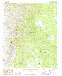 preview thumbnail of historical topo map of Torrance County, NM in 1986
