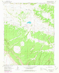 Download a high-resolution, GPS-compatible USGS topo map for Mariano Lake, NM (1981 edition)