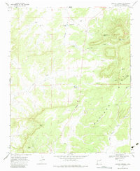 Download a high-resolution, GPS-compatible USGS topo map for Mariano Springs, NM (1984 edition)