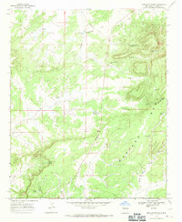 Download a high-resolution, GPS-compatible USGS topo map for Mariano Springs, NM (1971 edition)