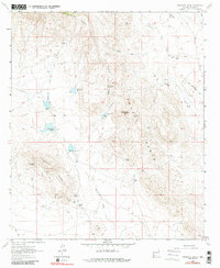 Download a high-resolution, GPS-compatible USGS topo map for Massacre Peak, NM (1984 edition)