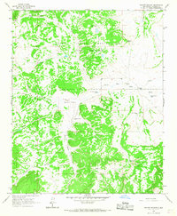 Download a high-resolution, GPS-compatible USGS topo map for Mecate Meadow, NM (1967 edition)