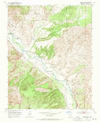 Download a high-resolution, GPS-compatible USGS topo map for Medanales, NM (1971 edition)