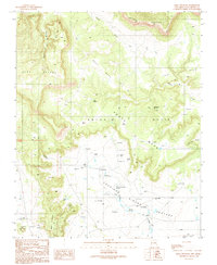 Download a high-resolution, GPS-compatible USGS topo map for Mesa Chupinas, NM (1989 edition)