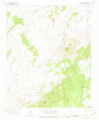 Download a high-resolution, GPS-compatible USGS topo map for Mesa Cortada, NM (1975 edition)
