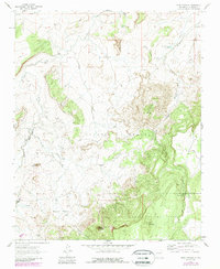 Download a high-resolution, GPS-compatible USGS topo map for Mesa Cortada, NM (1989 edition)