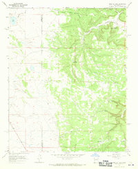 Download a high-resolution, GPS-compatible USGS topo map for Mesa El Toro, NM (1970 edition)