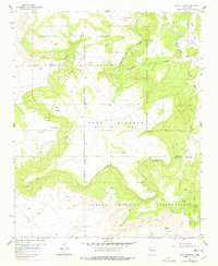 Download a high-resolution, GPS-compatible USGS topo map for Mesa Gigante, NM (1978 edition)