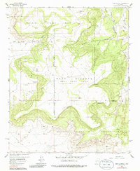 Download a high-resolution, GPS-compatible USGS topo map for Mesa Gigante, NM (1986 edition)