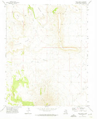 Download a high-resolution, GPS-compatible USGS topo map for Mesa Larga, NM (1974 edition)