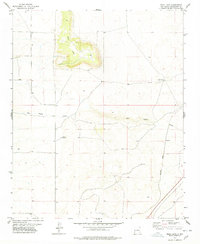 Download a high-resolution, GPS-compatible USGS topo map for Mesa Leon, NM (1978 edition)