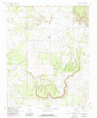 Download a high-resolution, GPS-compatible USGS topo map for Mesa Portales, NM (1989 edition)