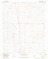 Download a high-resolution, GPS-compatible USGS topo map for Mesa SE, NM (1982 edition)
