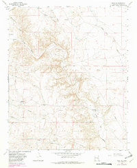 Download a high-resolution, GPS-compatible USGS topo map for Mesa SW, NM (1982 edition)
