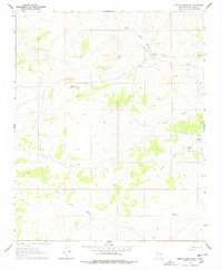 Download a high-resolution, GPS-compatible USGS topo map for Mesita Americana, NM (1978 edition)