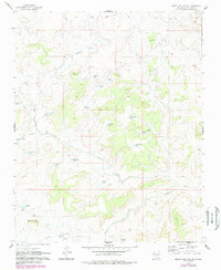 Download a high-resolution, GPS-compatible USGS topo map for Mesita Del Gavilan, NM (1989 edition)