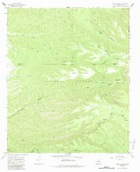 Download a high-resolution, GPS-compatible USGS topo map for Middle Mesa, NM (1984 edition)