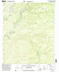 Download a high-resolution, GPS-compatible USGS topo map for Milligan Mountain, NM (2002 edition)