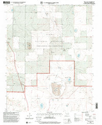 preview thumbnail of historical topo map of Harding County, NM in 1998