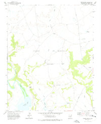 Download a high-resolution, GPS-compatible USGS topo map for Minese Mesa, NM (1975 edition)