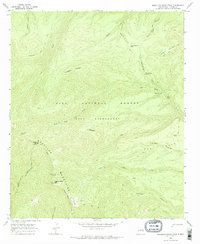 Download a high-resolution, GPS-compatible USGS topo map for Mogollon Baldy Peak, NM (1969 edition)