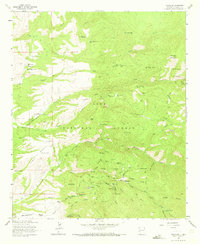 Download a high-resolution, GPS-compatible USGS topo map for Mogollon, NM (1973 edition)