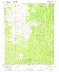 Download a high-resolution, GPS-compatible USGS topo map for Mogote Peak, NM (1980 edition)