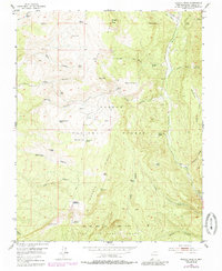 Download a high-resolution, GPS-compatible USGS topo map for Mogote Peak, NM (1985 edition)