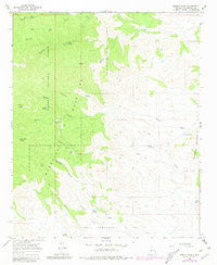 Download a high-resolution, GPS-compatible USGS topo map for Molino Peak, NM (1981 edition)