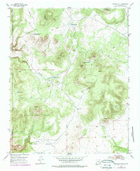 Download a high-resolution, GPS-compatible USGS topo map for Montoso Peak, NM (1978 edition)