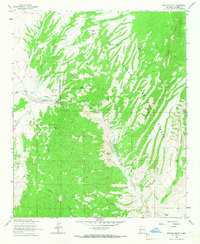 preview thumbnail of historical topo map of Socorro County, NM in 1964