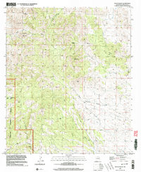 Download a high-resolution, GPS-compatible USGS topo map for Mount Baldy, NM (2003 edition)
